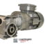 GetriebebauNord Getriebe Motor SK71L/4 TF 0,37kW 1370-12,50U/min